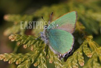 EA340626, Eastpress , Porvoo, Finland